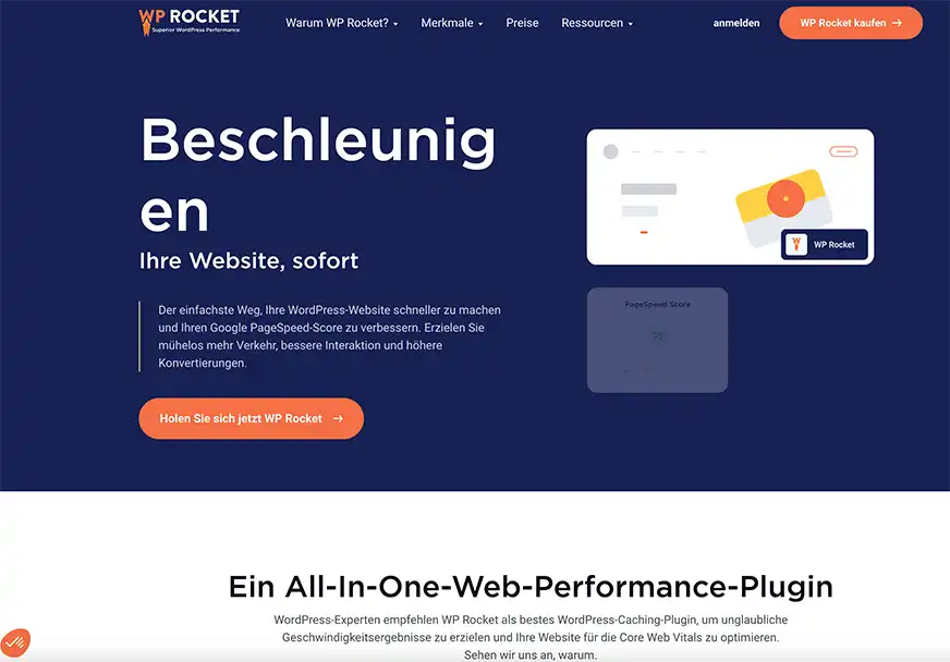 WP-Rocket Plugin