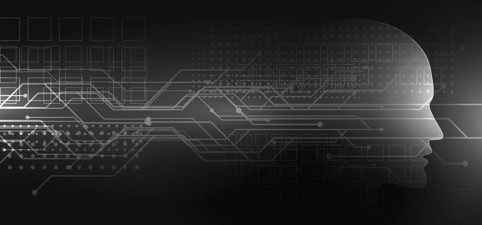 Large Language Model